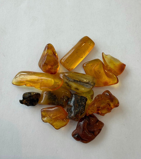 Amber Tumbled Stones in selenite bowl — natural honey-gold resin for Solar Plexus Chakra and uplifting energy.