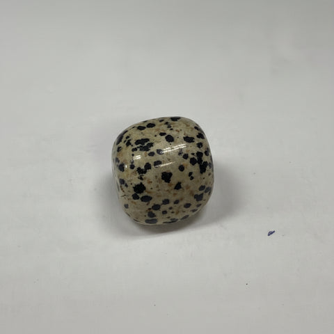 Dalmatian Jasper pocket stone for carrying during meditation, protection, and calming energy support.