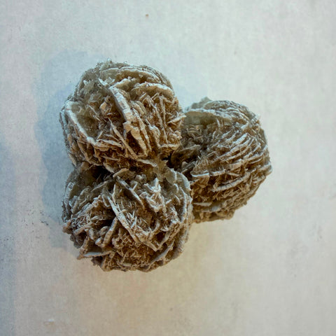 Top view of Desert Rose gypsum rosette with radiating crystal blade formation