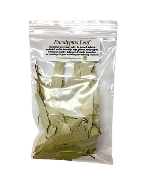 Herb Eucalyptus Leaf purifying healing cleansing smudge herb fresh start