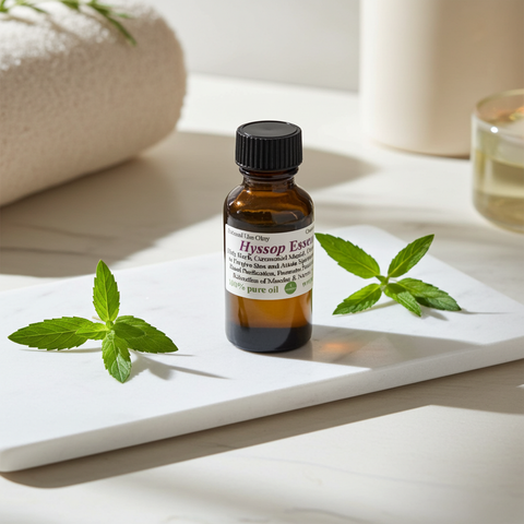 Pure hyssop essential oil with a distinctive herbal fragrance