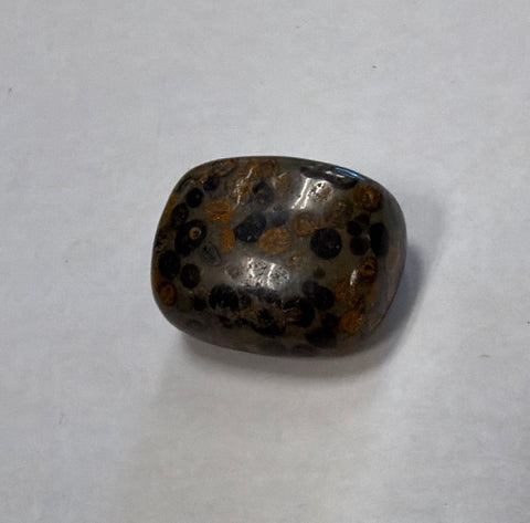 Leopard Skin Jasper natural tumbled crystal for altar use, grounding rituals, and meditation sessions.