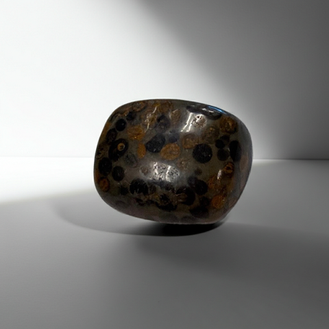 Leopard Skin Jasper polished tumbled stone for crystal healing, relaxation, and mindful energy work.