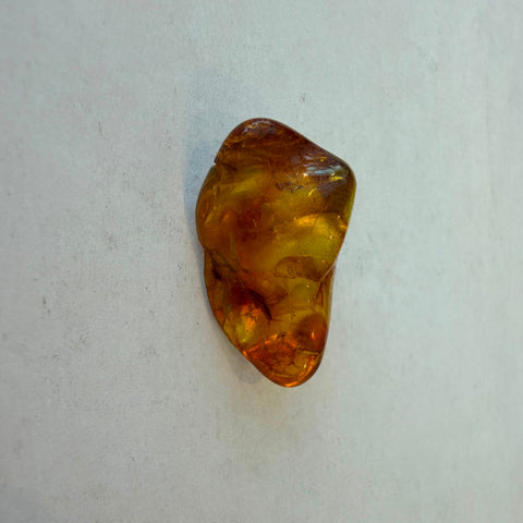 Group of natural amber pieces in honey-gold and cognac tones