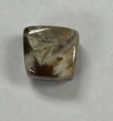 Petrified Wood crystal tumbled stone for healing collections, grounding sessions, and spiritual practice.