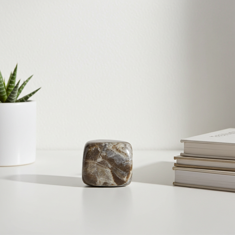 Petrified Wood tumbled stone for crystal collecting, grounding, and natural decor use.