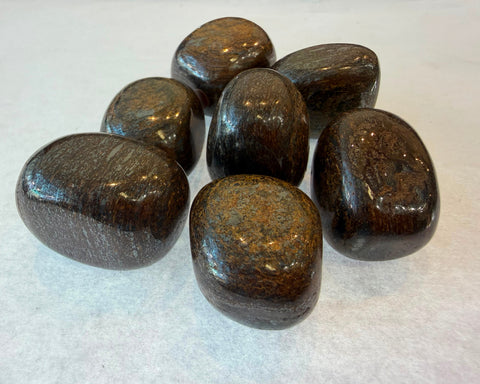 Group of polished Bronzite stones showing golden shimmer and dark brown coloring