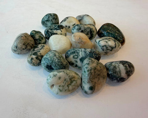 Polished Moss Agate chalcedony stone with glossy finish and green markings