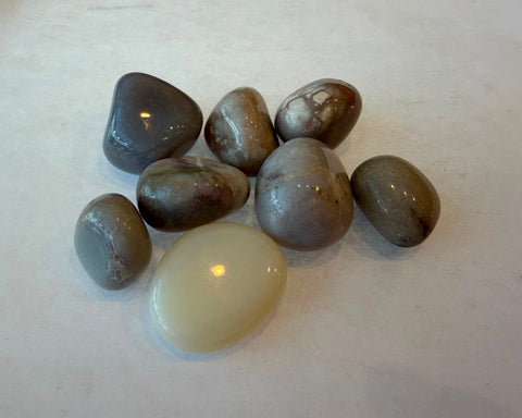 Polished Tan Chalcedony stones showing natural color variation and glossy finish