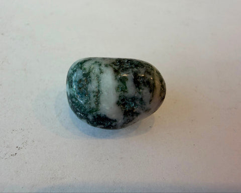 Tumbled Moss Agate stone showing branching green mineral patterning