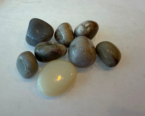 Tumbled Tan Chalcedony stones with smooth waxy luster