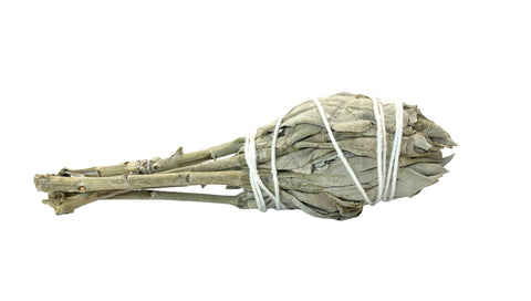 White Sage- 2" - Incense Pro (Image 2)