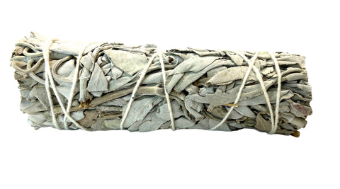 White Sage 4 Inches - Incense Pro (Image 2)