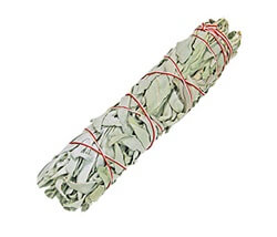 California White Sage Bundle 8-9 Inch hand-tied for deep space cleansing, purification, and smudging rituals.